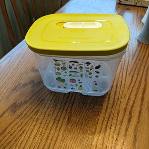 Tupperware Fridgesmart